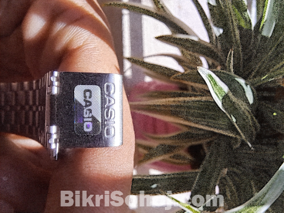 Casio-A159W